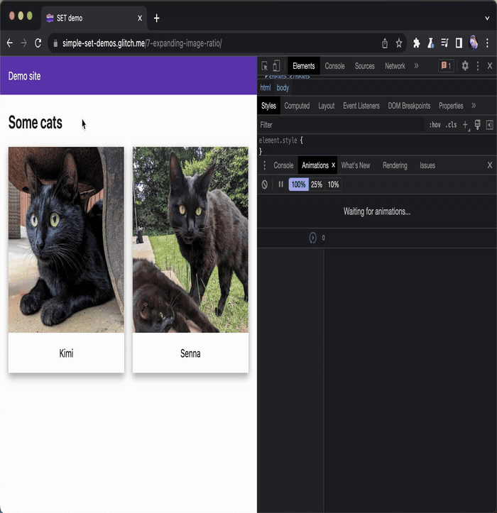 Chrome View Transition example with changing image aspect ratios